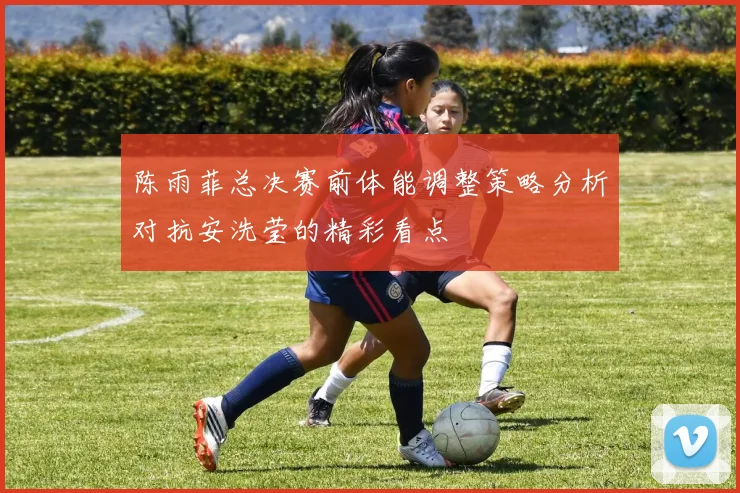 陈雨菲总决赛前体能调整策略分析对抗安洗莹的精彩看点