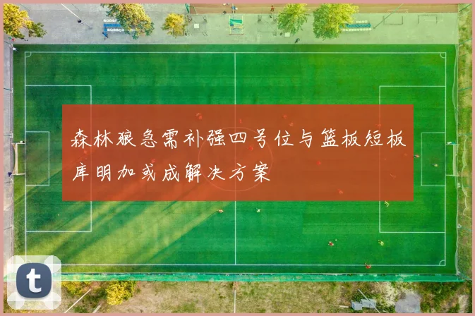 森林狼急需补强四号位与篮板短板库明加或成解决方案